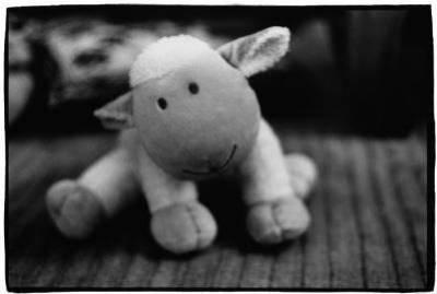 tit mouton